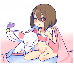 Rule 34 | animal ears, cat, cat ears, digimon, digimon (creature), gloves, holy ring, tail, tailmon, yagami hikari