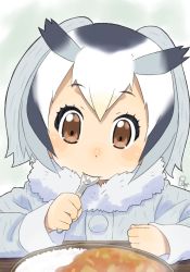 Rule 34 | 10s, 1girl, blush, blush stickers, brown eyes, buttons, clenched hand, commentary request, curry, curry rice, dot nose, eating, expressionless, eyelashes, fingernails, fluffy collar, food, fur collar, grey hair, head wings, highres, holding, holding spoon, kemono friends, long sleeves, looking at viewer, multicolored hair, northern white-faced owl (kemono friends), nose blush, plate, rice, satsuyo, signature, solo, spoon, table, tareme, upper body, utensil in mouth, white hair, wings, wooden table