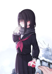 Rule 34 | 1girl, 1other, black hair, black sailor collar, black serafuku, black shirt, black skirt, blue eyes, blush, box, breath, closed mouth, commentary, english commentary, fringe trim, gift, gift box, grey scarf, hand up, highres, holding, holding gift, lawnielle, long hair, long sleeves, looking away, neckerchief, original, out of frame, pleated skirt, railing, red neckerchief, sailor collar, scarf, school uniform, serafuku, shirt, simple background, skirt, snow, solo focus, white background