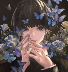 Rule 34 | 1boy, absurdres, black background, black eyes, black hair, blue butterfly, blunt bangs, bowl cut, bug, butterfly, closed mouth, crying, crying with eyes open, flower, gakuran, highres, insect, jacket, jiaotang xiaodoudou, kageyama shigeo, long sleeves, looking at viewer, male focus, mob psycho 100, portrait, rose, school uniform, short hair, solo, streaming tears, tears, white flower, white rose