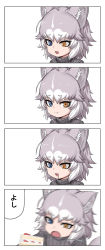 Rule 34 | 1girl, 4koma, :3, alternate costume, animal ears, blue eyes, blurry, cake, comic, dog (mixed breed) (kemono friends), dog ears, dog girl, drooling, fang, food, grey hair, grey sweater, heterochromia, kemono friends, looking at viewer, nyifu, open mouth, short hair, solo, sweater, turtleneck, white hair, yellow eyes