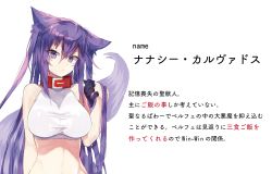Rule 34 | 1girl, animal ears, bad id, bad pixiv id, bracelet, breasts, cat ears, character name, character profile, collar, crop top, jewelry, long hair, looking at viewer, medium breasts, nanacy calvados, navel, original, parted lips, purple eyes, purple hair, simple background, solo, suminagashi, tail, translation request, two side up, upper body, very long hair, white background, wolf ears, wolf tail