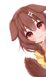 Rule 34 | 1girl, :3, absurdres, animal ears, blush, bone hair ornament, braid, brown eyes, brown hair, closed mouth, commentary, dog ears, dog girl, dog tail, eyes visible through hair, hair between eyes, hair ornament, hands up, highres, hololive, inugami korone, inugami korone (1st costume), kohe billialot, lips, long hair, looking at viewer, peeking out, red eyes, simple background, solo, tail, tail raised, virtual youtuber, white background