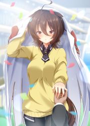 Rule 34 | 1boy, 1girl, absurdres, agnes tachyon (umamusume), ahoge, animal ears, black neckwear, black pantyhose, black shirt, blurry, blurry background, blush, brown hair, coat, coat on head, commentary request, hair between eyes, hand on hand, highres, horse ears, horse girl, horse tail, jewelry, looking at viewer, necktie, pantyhose, pov, pov hands, marriage proposal, red eyes, ring, ryochapu, shirt, short hair, short necktie, sweater, tail, umamusume, wedding band, white coat, yellow sweater
