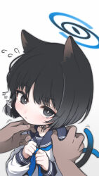 Rule 34 | 1girl, 1other, animal ears, black eyes, black hair, black sailor collar, blue archive, blue halo, blue neckerchief, blush, cat ears, cat tail, closed mouth, halo, highres, kikyou (blue archive), long sleeves, multiple tails, neckerchief, pekenpon, sailor collar, school uniform, serafuku, short hair, simple background, solo focus, tail, two tails, white background