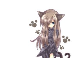 Rule 34 | 00s, 1girl, animal ears, artist request, blue eyes, brown hair, cat ears, cat girl, cat tail, female focus, hair over one eye, highres, long hair, looking at viewer, paw print, simple background, solo, source request, straight hair, tail, tales of (series), tales of the abyss, tear grants, wallpaper, white background