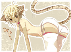 Rule 34 | 1boy, ahoge, all fours, animal ears, animal print, ass, blonde hair, cat boy, cat ears, cat tail, chain, choker, crossdressing, male focus, nipples, open mouth, pet play, solo, tail, tan, tiger print, tiger tail, trap