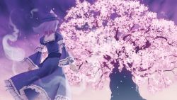 Rule 34 | 1girl, cherry blossoms, from behind, glowing, hat, irigoma (jikabi baisen), japanese clothes, kujira-kousen, pink hair, saigyou ayakashi, saigyouji yuyuko, short hair, solo, touhou, tree