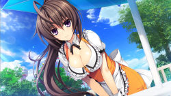 Rule 34 | 1girl, ahoge, apron, artist request, blush, breasts, brown hair, character request, cleavage, game cg, long hair, outdoors, ponytail, pretty x cation 2, sky, solo, tagme, waitress