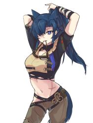Rule 34 | 1girl, animal ears, arknights, arms up, astrograph21, black shirt, blue eyes, blue hair, breasts, commentary, cowboy shot, crop top, fang (arknights), fang the fire-sharpened (arknights), grey pants, long hair, medium breasts, midriff, navel, pants, ponytail, shirt, short sleeves, simple background, solo, standing, stomach, tail, torn clothes, white background