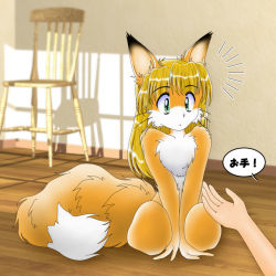 Rule 34 | !, 1girl, animal ears, blonde hair, chair, eyebrows, fox ears, fox tail, full body, furry, green eyes, long hair, nose, nude, pisipisi, sitting, solo focus, tail, text focus, translated, whiskers