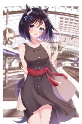 Rule 34 | 1girl, :d, alternate costume, animal ears, arm behind back, black hair, blue eyes, blurry, blurry background, blush, bob cut, border, bow, breasts, casual, coffee cup, collarbone, commentary request, cowboy shot, cup, disposable cup, dress, drinking straw, ear ornament, ear ribbon, eishin flash (umamusume), highres, holding, holding cup, horse ears, horse girl, jacket, looking at viewer, medium breasts, michizane sgawl, off shoulder, open clothes, open jacket, open mouth, outside border, round teeth, sash, short hair, sleeveless, sleeveless dress, smile, solo, tail, teeth, thighs, train station, umamusume, upper teeth only, white border