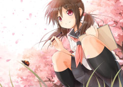 Rule 34 | 1girl, blurry, brown hair, bug, cherry blossoms, depth of field, grass, insect, kneehighs, ladybug, looking at viewer, naono, original, pencil, petals, pink eyes, school uniform, serafuku, short twintails, sketch pad, sketchbook, skirt, smile, socks, solo, squatting, tree, twintails