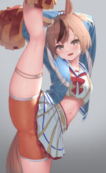 Rule 34 | 1girl, :d, animal ears, arms up, bike shorts, blouse, blue jacket, brown eyes, brown hair, cheerleader, commentary, crop top, duplicate, highres, holding, horse ears, horse girl, jacket, leg lift, leg up, lifting own clothes, long hair, long sleeves, looking at viewer, midriff, miniskirt, multicolored hair, navel, nice nature (run&amp;win) (umamusume), nice nature (umamusume), open clothes, open jacket, open mouth, orange shorts, pixel-perfect duplicate, pleated skirt, pom pom (cheerleading), ponytail, reinama, shirt, short shorts, shorts, shorts under skirt, skirt, smile, solo, split, standing, standing on one leg, standing split, stomach, streaked hair, thigh strap, thighs, umamusume, white shirt, white skirt