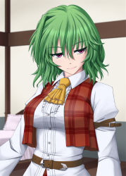 Rule 34 | 1girl, arm belt, arms at sides, ascot, belt, buttons, center frills, collared shirt, commentary request, frills, green hair, hair between eyes, half-closed eyes, highres, indoors, kazami yuuka, long sleeves, looking to the side, medium hair, open clothes, open vest, plaid, plaid vest, purple eyes, red vest, shirt, smile, solo, taut clothes, touhou, upper body, vest, vision (artist), wavy hair, white shirt, wing collar, yellow ascot