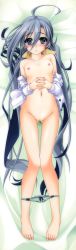 Rule 34 | 10s, 1girl, absurdres, ahoge, aoi hiro, barefoot, bed sheet, blue eyes, blush, bow, bow panties, cleft of venus, dakimakura (medium), feet, flat chest, from above, full-face blush, full body, gradient background, green panties, grey hair, hair censor, highres, huge filesize, kantai collection, kiyoshimo (kancolle), long hair, long image, long sleeves, looking at viewer, lying, naked shirt, nipples, on back, open clothes, open shirt, own hands together, panties, panty pull, polka dot, polka dot panties, shirt, solo, tall image, thigh gap, toes, underwear, very long hair