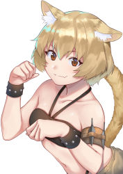 Rule 34 | 1girl, :3, animal ears, bare shoulders, blonde hair, breasts, brown eyes, cat ears, cat tail, closed mouth, collarbone, commentary request, fang, fang out, halterneck, hands up, hataage! kemono michi, highres, imori (lizzy), looking at viewer, medium breasts, midriff, misha (kemonomichi), navel, paw pose, short hair, simple background, skin fang, smile, solo, stomach, tail, upper body, white background, wristband