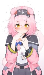 Rule 34 | 1girl, animal ears, arknights, black bracelet, black collar, black hairband, black skirt, blue bow, blue jacket, blush, bow, breasts, breasts squeezed together, cat ears, cat girl, cat tail, collar, cowboy shot, floppy ears, goldenglow (arknights), hair ornament, hairband, hairclip, hands up, highres, id card, infection monitor (arknights), jacket, lightning bolt print, long sleeves, looking at viewer, open clothes, open jacket, pcaccount13, pink jacket, print hairband, shirt, simple background, skirt, small breasts, solo, straight-on, tail, upper body, variant set, white background, white shirt, yellow eyes