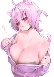 Rule 34 | 1girl, absurdres, ahoge, animal ear fluff, animal ears, breasts, camisole, cat cutout, cat ears, cat girl, cat tail, clothing cutout, collarbone, grey camisole, head tilt, highres, hololive, jacket, large breasts, looking at viewer, medium hair, nekomata okayu, nekomata okayu (membership), no bra, official alternate costume, parted lips, partially unzipped, purple eyes, purple hair, purple jacket, simple background, solo, strap pull, tail, twitter username, two side up, undressing, uzda ricecake, virtual youtuber, white background, zipper pull tab