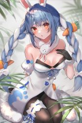 Rule 34 | 1girl, absurdres, animal ear fluff, animal ears, arm support, bare shoulders, black gloves, blue hair, blush, bow, bowtie, braid, breasts, carrot hair ornament, commentary request, food-themed hair ornament, fur collar, fur trim, gloves, hair ornament, hand on own chest, highres, hololive, kinoruru toiro, leotard, leotard under clothes, long hair, medium breasts, multicolored hair, open mouth, pantyhose, pom pom (clothes), rabbit ears, red eyes, simple background, sitting, solo, thigh strap, twin braids, twintails, two-tone hair, usada pekora, usada pekora (1st costume), virtual youtuber, white hair