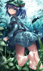 Rule 34 | 1girl, air bubble, arm belt, barefoot, blue eyes, blue hair, bubble, dress, feet, fish, hair bobbles, hair ornament, hako momiji, kawashiro nitori, legs, light rays, long sleeves, looking back, matching hair/eyes, plant, pocket, shirt, short hair, skirt, skirt set, soles, solo, sunbeam, sunlight, toes, touhou, twintails, two side up, underwater, wet, wet clothes