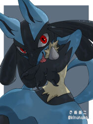Rule 34 | 1boy, animal ears, animal hands, arm at side, arm up, artist name, backlighting, black fur, blue fur, body fur, claws, creatures (company), fangs, furry, furry male, game freak, gen 4 pokemon, grey background, kinunuko, leaning forward, licking, licking hand, looking at viewer, lucario, male focus, multicolored fur, nintendo, open mouth, pokemon, pokemon (creature), red eyes, simple background, sitting, skin fangs, snout, solo, spikes, tail, tongue, tongue bath, tongue out, twitter username, watermark, wolf boy, wolf ears, wolf tail, yellow fur