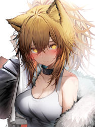Rule 34 | absurdres, animal ears, arknights, black jacket, blonde hair, blush, breasts, cleavage, closed mouth, collar, collarbone, drying, drying hair, fur-trimmed jacket, fur trim, highres, holding, holding towel, jacket, large breasts, lion ears, long sleeves, looking at viewer, open clothes, open jacket, ponytail, sidelocks, siege (arknights), simple background, single bare shoulder, smile, solo, tab head, tank top, towel, upper body, white background, yellow eyes