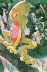 Rule 34 | closed mouth, commentary request, creatures (company), day, game freak, gen 3 pokemon, looking down, nagakura (seven walkers), nintendo, no humans, on branch, outdoors, pokemon, pokemon (creature), solo, squatting, toes, treecko, yellow eyes