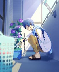 Rule 34 | 1boy, balcony, basket, black footwear, blue eyes, blue hair, blue scarf, blurry foreground, bottle, brown pants, coat, commentary, flower, from side, headset, holding, holding bottle, kaito (vocaloid), laundry basket, male focus, microphone, morning, morning glory, nokuhashi, pants, purple flower, sandals, scarf, squatting, vocaloid, watering, white coat