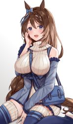 Rule 34 | 1girl, :d, absurdres, animal ears, between breasts, blue eyes, blue thighhighs, blush, bow, braid, breasts, brown hair, detached sleeves, hair bow, hand on own cheek, hand on own face, highres, horse ears, horse girl, horse tail, long hair, open mouth, sitting, smile, solo, strap between breasts, super creek (umamusume), tail, thighhighs, umamusume, wariza, zhi zhi/zu zu
