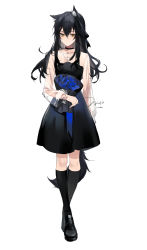 Rule 34 | 1girl, absurdres, animal ear fluff, animal ears, arknights, black dress, black footwear, black hair, black socks, bouquet, commentary request, dress, flower, full body, highres, holding, holding bouquet, kneehighs, loafers, long hair, long sleeves, looking at viewer, meng ziya, shirt, shoes, simple background, socks, solo, standing, tail, texas (arknights), white background, white shirt, wolf ears, wolf tail, yellow eyes