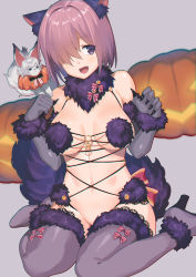 Rule 34 | 1girl, 2l (2lsize), animal ears, bad id, bad pixiv id, blush, breasts, commentary request, elbow gloves, fang, fate/grand order, fate (series), fou (fate), fur trim, gloves, hair over one eye, halloween, halloween costume, highres, large breasts, looking at viewer, mash kyrielight, mash kyrielight (dangerous beast), navel, official alternate costume, open mouth, pumpkin, purple eyes, purple hair, short hair, sitting, tail, thighhighs, wariza, wolf ears