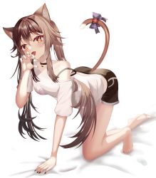 Rule 34 | 1girl, absurdres, all fours, animal ears, barefoot, black choker, black nails, black shorts, bow, brown eyes, brown hair, cat ears, cat tail, choker, full body, genshin impact, highres, hu tao (genshin impact), long hair, looking at viewer, maru (est3562), nail polish, open mouth, shirt, shorts, simple background, solo, tail, tail bow, tail ornament, white background, white shirt