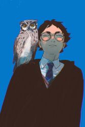 Rule 34 | 1boy, akaashi keiji, animal, animal on shoulder, animalization, bird, black cloak, blue background, blue eyes, blue necktie, bokuto koutarou, brown hair, chengongzi123, chinese commentary, cloak, closed mouth, collared shirt, commentary request, cosplay, glasses, haikyuu!!, harry potter (series), highres, hogwarts school uniform, light smile, looking at viewer, male focus, necktie, owl, ravenclaw, round eyewear, school uniform, shirt, short hair, simple background, standing, upper body, very short hair, white shirt, wizarding world