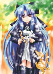 Rule 34 | 00s, blue hair, cat, highres, len (tsukihime), melty blood, pointy ears, red eyes, solo, thighhighs, tsukihime, type-moon