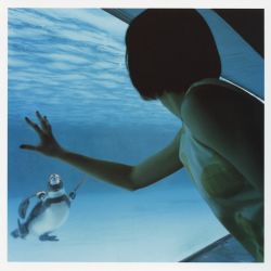 Rule 34 | a piacere, aquarium, bird, dress, highres, penguin, photo (medium), ueno juri