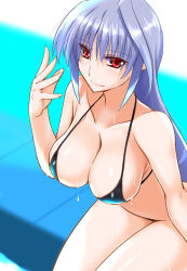 Rule 34 | 1girl, bikini, black bikini, breasts, cleavage, closed mouth, engo (aquawatery), grey hair, halterneck, large breasts, leaning forward, long hair, looking at viewer, lyrical nanoha, poolside, red eyes, reinforce, sitting, smile, solo, swimsuit, wet
