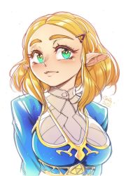 Rule 34 | 1girl, blonde hair, blue shirt, blush, braid, breasts, closed mouth, collared shirt, gofa, green eyes, hair ornament, hairclip, highres, lips, looking at viewer, medium hair, nintendo, parted lips, pointy ears, princess zelda, shirt, signature, simple background, smile, solo, the legend of zelda, the legend of zelda: breath of the wild, the legend of zelda: tears of the kingdom, thick eyebrows, upper body, white background