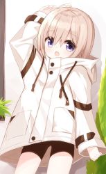 Rule 34 | 1girl, ahoge, alternate hair color, arm up, bike shorts, black shorts, blush, coat, commentary request, drawstring, hair between eyes, light brown hair, long sleeves, looking at viewer, open mouth, original, purple eyes, short shorts, shorts, sleeves past wrists, solo, standing, white coat, yuuhagi (amaretto-no-natsu)