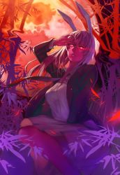 Rule 34 | 1girl, animal ears, bamboo, bamboo forest, blazer, rabbit ears, commentary, forest, glowing, hidebo, highres, jacket, long hair, long sleeves, looking at viewer, nature, necktie, open jacket, open clothes, open jacket, purple hair, reisen udongein inaba, shirt, skirt, solo, spell, touhou