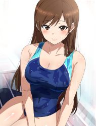 Rule 34 | 1girl, blush, breasts, brown eyes, brown hair, cleavage, collarbone, competition swimsuit, covered navel, highres, idolmaster, idolmaster cinderella girls, looking at viewer, medium breasts, misaki nonaka, nitta minami, one-piece swimsuit, simple background, sitting, smile, solo, straight hair, swimsuit, wet, wet clothes, wet hair, wet swimsuit, white background