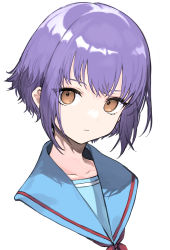 Rule 34 | 1girl, absurdres, blue sailor collar, brown eyes, closed mouth, commentary request, expressionless, eyebrows hidden by hair, highres, looking at viewer, nagato yuki, portrait, purple hair, sailor collar, short hair, signalviolet, simple background, solo, suzumiya haruhi no yuuutsu, white background