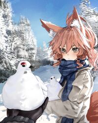Rule 34 | 1girl, absurdres, animal ear fluff, animal ears, bird, black gloves, blue scarf, blue sky, blush, fate/grand order, fate (series), fox ears, fox girl, fox tail, gloves, grey jacket, highres, jacket, long hair, long sleeves, looking at viewer, obazzotto, ponytail, scarf, sidelocks, sky, snow, solo focus, tail, tamamo (fate), tamamo no mae (fate/extra)