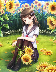 Rule 34 | 1girl, :d, bad id, bad pixiv id, black footwear, black ribbon, black sailor collar, black skirt, blue sky, blush, bow, breasts, brown bow, brown eyes, brown hair, brown pantyhose, cloud, collarbone, commentary request, day, flower, grass, hair bow, hair ribbon, head tilt, knees up, loafers, long hair, looking at viewer, lunacle, miniskirt, neck ribbon, on grass, open mouth, original, outdoors, pantyhose, petals, plant, pleated skirt, red eyes, red ribbon, ribbon, sailor collar, school uniform, serafuku, shirt, shoes, short sleeves, sidelocks, sitting, skirt, sky, small breasts, smile, solo, striped bow, striped ribbon, sunflower, white shirt, yellow flower