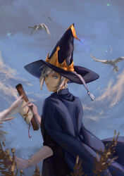 Rule 34 | 1boy, absurdres, bird, blue eyes, cloud, day, envelope, grey hair, hat, highres, holding, holding envelope, lan die (blue butterfly), looking at viewer, looking back, male focus, outdoors, quan zhi gao shou, robe, scroll, sidelocks, solo, standing, vaccaria, wizard hat