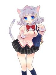 Rule 34 | 1girl, :3, animal ears, artist request, bag, bag charm, black socks, blouse, blunt bangs, blush, bow, bowtie, breasts, cat ears, cat tail, character request, charm (object), colored eyelashes, cosplay, fang, hair ornament, hairclip, heart, heart-shaped pupils, highres, jewelry, kneehighs, large breasts, legs together, mahou shoujo madoka magica, mahou shoujo madoka magica (anime), miki sayaka, miki sayaka (cosplay), miniskirt, musical note, paw pose, pocket, red bow, red bowtie, ring, satchel, school uniform, shirt, short hair, silver hair, skirt, socks, solo, standing, symbol-shaped pupils, tail, tiara, transparent background, uchi no hime-sama ga ichiban kawaii, wavy hair, white shirt