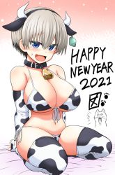 Rule 34 | 1girl, 2021, :d, animal ears, animal print, bad id, bad pixiv id, bare shoulders, bell, bikini, black collar, blue eyes, blush, breasts, cleavage, collar, collarbone, commentary request, cow ears, cow horns, cow print, cow print sleeves, cowbell, detached sleeves, ear tag, fake animal ears, fake horns, fang, front-tie bikini top, front-tie top, full body, grey hair, hair between eyes, happy new year, highres, horns, large breasts, looking at viewer, navel, new year, open mouth, paw print, short hair, side-tie bikini bottom, sitting, skindentation, smile, solo, string bikini, swimsuit, take (shokumu-taiman), thighhighs, uzaki-chan wa asobitai!, uzaki hana, wavy mouth