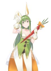 Rule 34 | 1girl, animal ears, rabbit ears, closed mouth, fake animal ears, fire emblem, fire emblem: mystery of the emblem, fire emblem heroes, gloves, green eyes, green hair, highres, holding, leotard, long hair, nintendo, palla (fire emblem), ruis bacon, simple background, smile, solo, white background, white gloves, white legwear