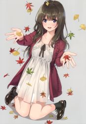Rule 34 | 1girl, absurdres, autumn leaves, black socks, blush, bow, bowtie, brown footwear, brown hair, buttons, collarbone, dress, full body, grey background, head tilt, highres, kneeling, leaf, lips, long hair, long sleeves, open clothes, open mouth, original, purple eyes, scan, shadow, shoes, short dress, simple background, smile, socks, solo, unasaka ryou