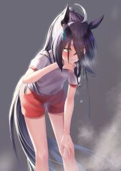 Rule 34 | 1girl, absurdres, ahoge, alternate hairstyle, animal ears, black hair, blush, feet out of frame, gym uniform, hair between eyes, hand on own knee, highres, horse ears, horse girl, horse tail, leaning forward, legs, long hair, looking at viewer, manhattan cafe (umamusume), open mouth, ponytail, red shorts, reo-illust4696, shirt, short sleeves, shorts, solo, standing, sweat, tail, umamusume, white shirt, wiping sweat, yellow eyes